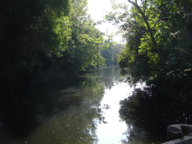 An image of a Candle Shore pond.